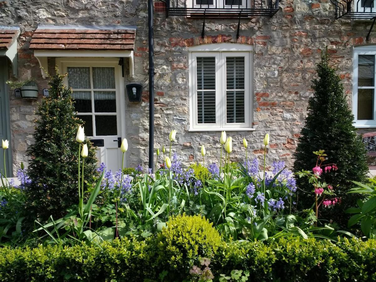 St Etheldreda'S Cottage, Wells, Somerset エクステリア 写真